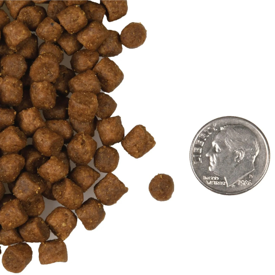 Fromm Family Four-Star Grain-Free Surf and Turf for Cats