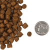 Fromm Family Four-Star Grain-Free Surf and Turf for Cats