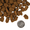 Fromm Family Four-Star Highlander Beef Oats and Barley
