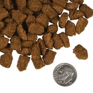 Fromm Family Four-Star Highlander Beef Oats and Barley