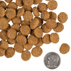 Fromm Family Gold Adult Large Breed - 15 lbs