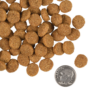 Fromm Family Gold Adult Large Breed - 15 lbs