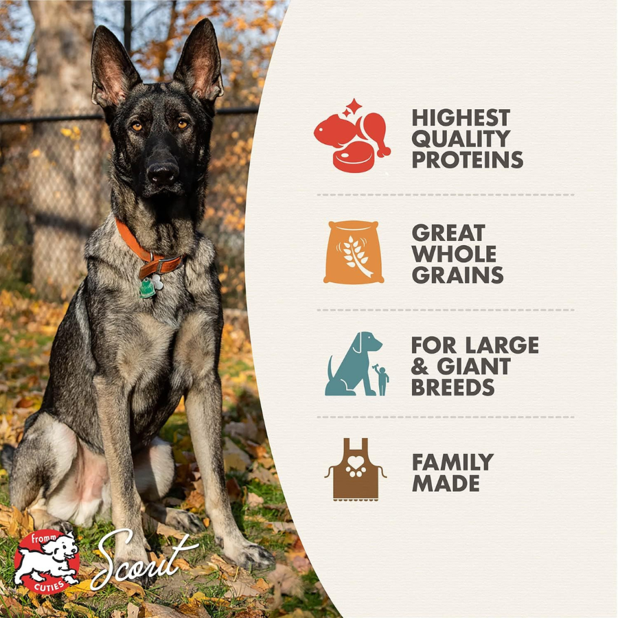Fromm Family Gold Adult Large Breed - 15 lbs