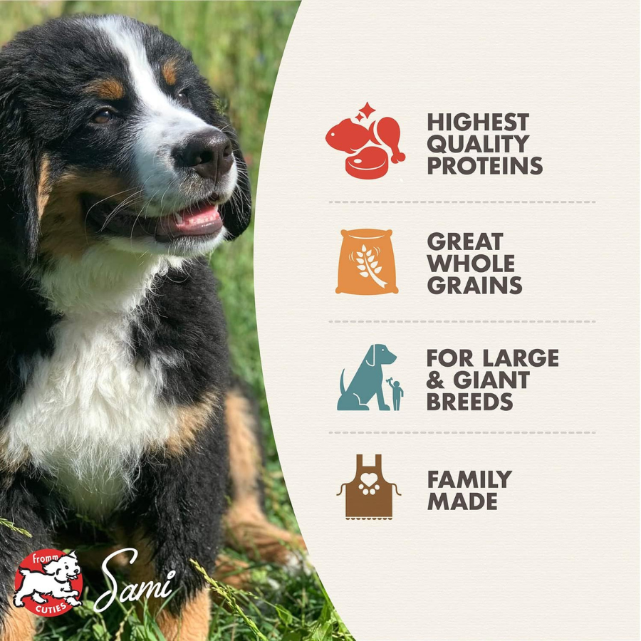 Fromm Family Gold Large Breed Puppy