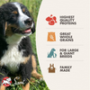 Fromm Family Gold Large Breed Puppy