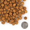 Fromm Family Gold Large Breed Puppy