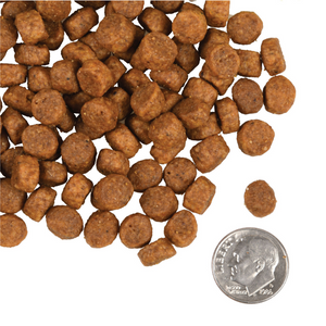 Fromm Family Heartland Gold Puppy (11.9 lbs)