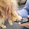 Furminator Nail Clippers