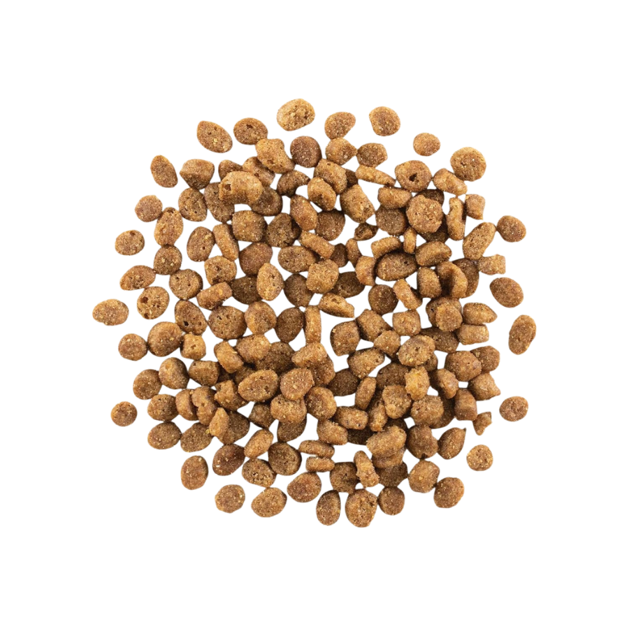 Gather Free Acres Free Run Chicken for Cats - 4 lbs