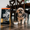 Go! Solutions Skin and Coat Duck - 22 lbs