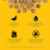Go! Solutions Skin and Coat Duck - 22 lbs
