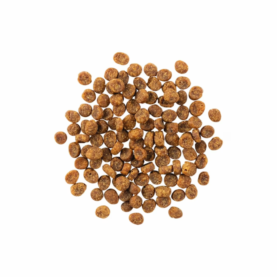 Go! Solutions Sensitivities Salmon for Cats - 3 lbs