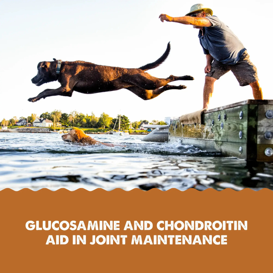 Grizzly Joint Aid Hip and Joint Support Liquid Supplement