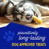 Himalayan Dog Chew - 3 Pack