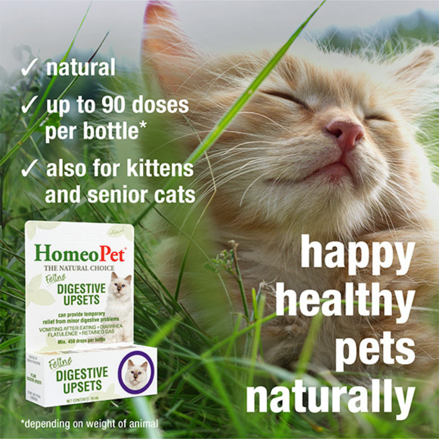 HomeoPet Cat Digestive+ - 15 ml