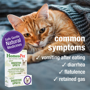 HomeoPet Cat Digestive+ - 15 ml