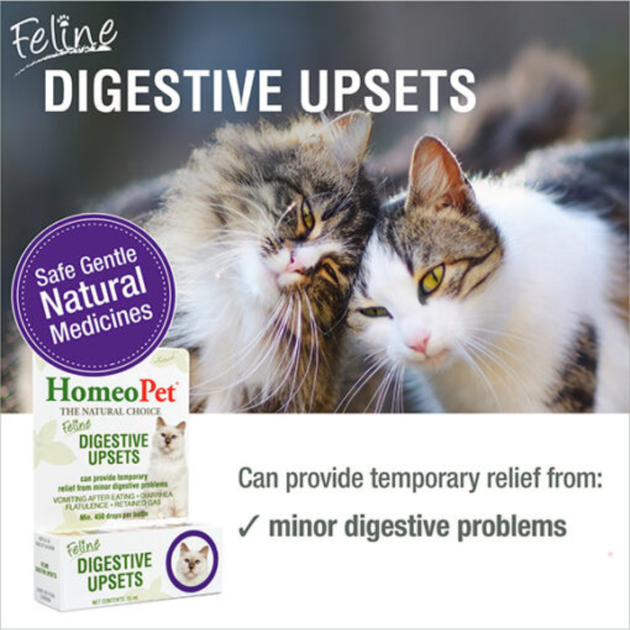 HomeoPet Cat Digestive+ - 15 ml