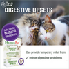 HomeoPet Cat Digestive+ - 15 ml