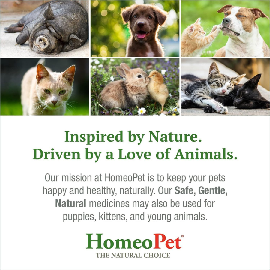 HomeoPet Cat UT+ - 15 ml