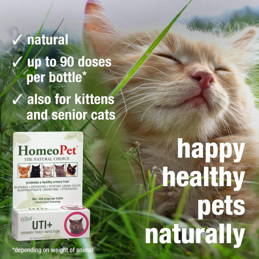 HomeoPet Cat UT+ - 15 ml