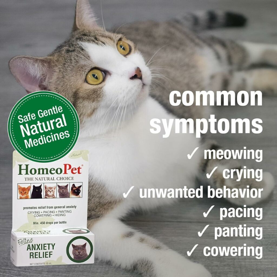 HomeoPet D-Stress Feline Anxiety Relief - 15 ml