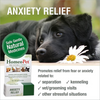 HomeoPet Multi Species D-Stress Anxiety Relief - 15 ml