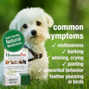 HomeoPet Multi Species D-Stress Anxiety Relief - 15 ml