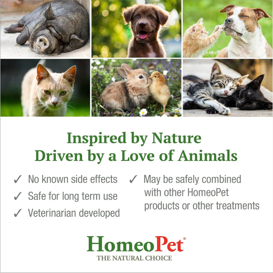 HomeoPet Multi Species DermaCoat+ - 15 ml