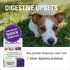 HomeoPet Multi Species Digestive+ - 15 ml