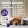 HomeoPet Multi Species Digestive+ - 15 ml