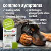 HomeoPet Multi Species PP Less Leaks No More - 15 ml