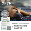 HomeoPet Multi Species Sinus+ - 15 ml