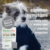 HomeoPet Multi Species Sinus+ - 15 ml