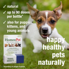 HomeoPet Multi Species Travel Anxiety - 15 ml