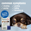 HomeoPet Multi Species Travel Anxiety - 15 ml