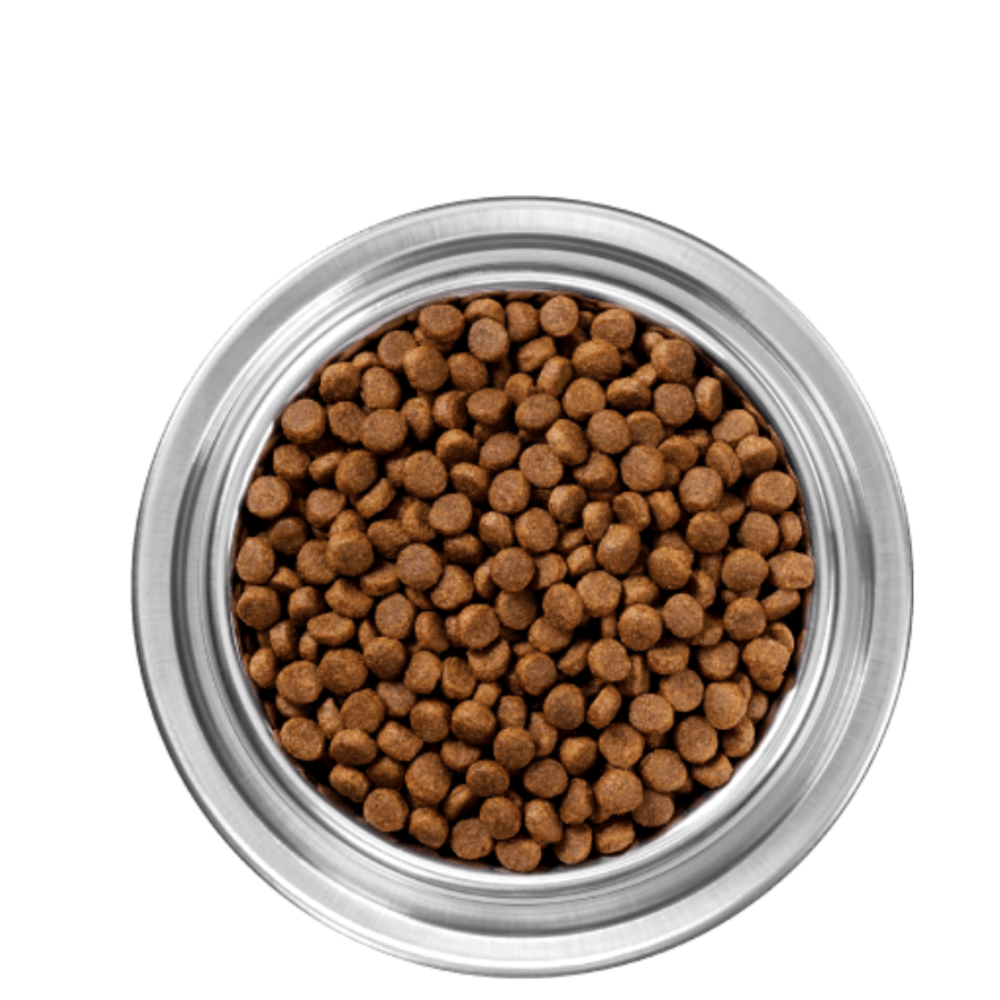 Instinct Original Grain-Free Salmon - 20 lbs
