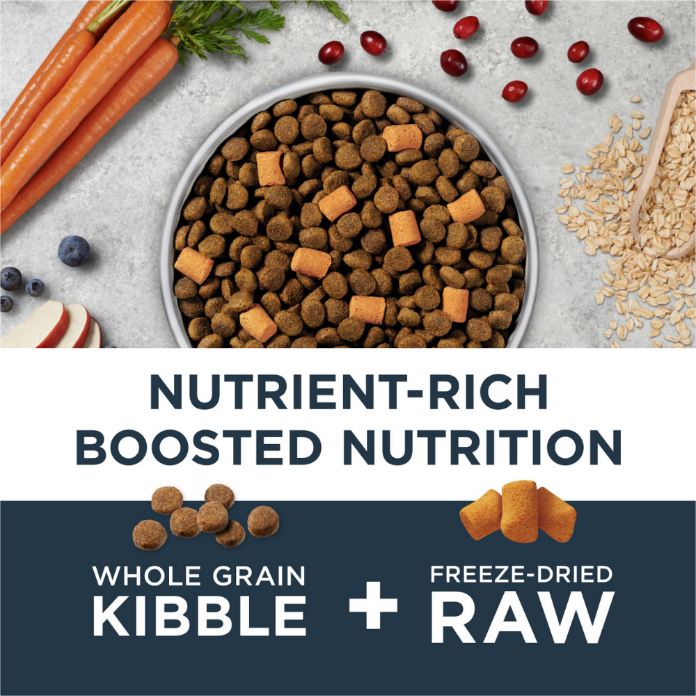 Instinct Raw Boost Whole Grain Gut Health Chicken and Brown Rice - 18 lbs