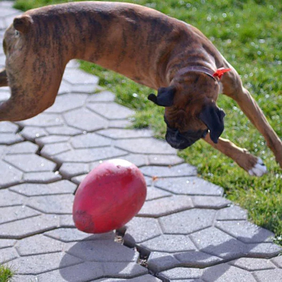 Jolly Pets Jolly Egg - Red 12"