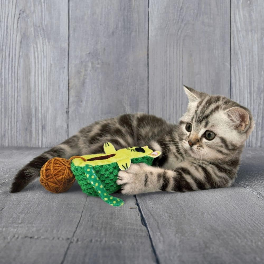 KONG AvoCATo