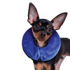 KONG Cloud Collar