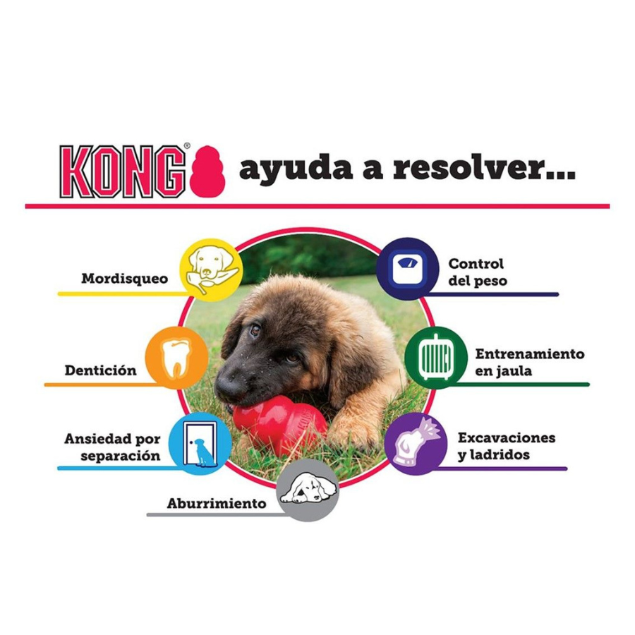 KONG Extreme