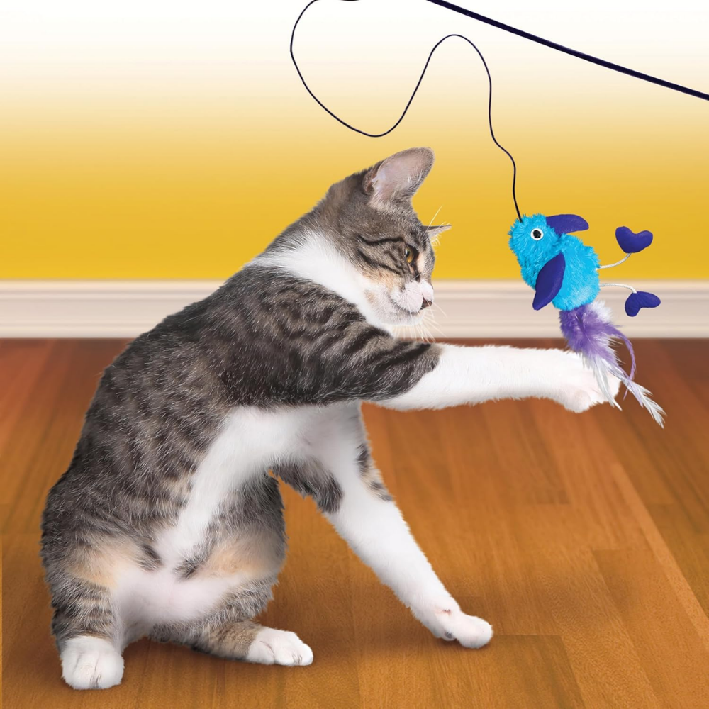 KONG Feather Teaser Wand Cat Toy (Assorted)