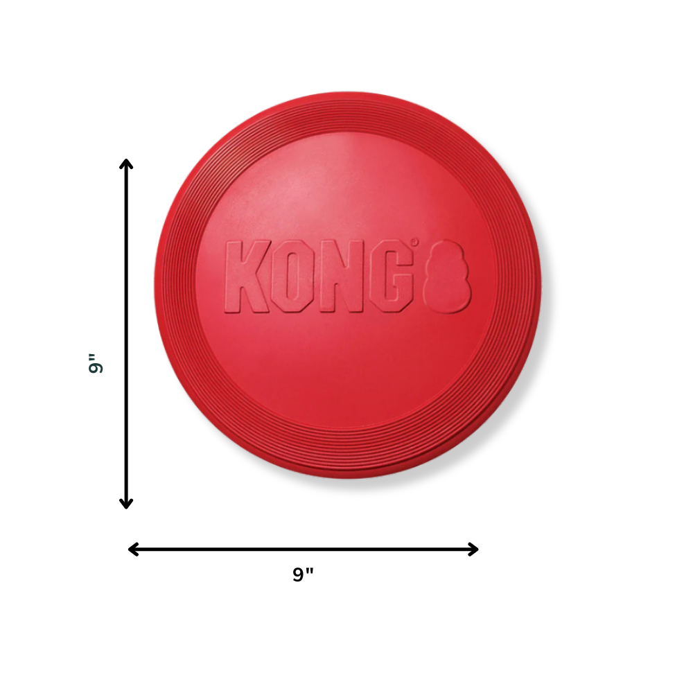 KONG Flyer