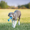 KONG Goodie Bone for Puppies - Small