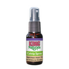 KONG Naturals Premium Catnip Spray - 1 oz