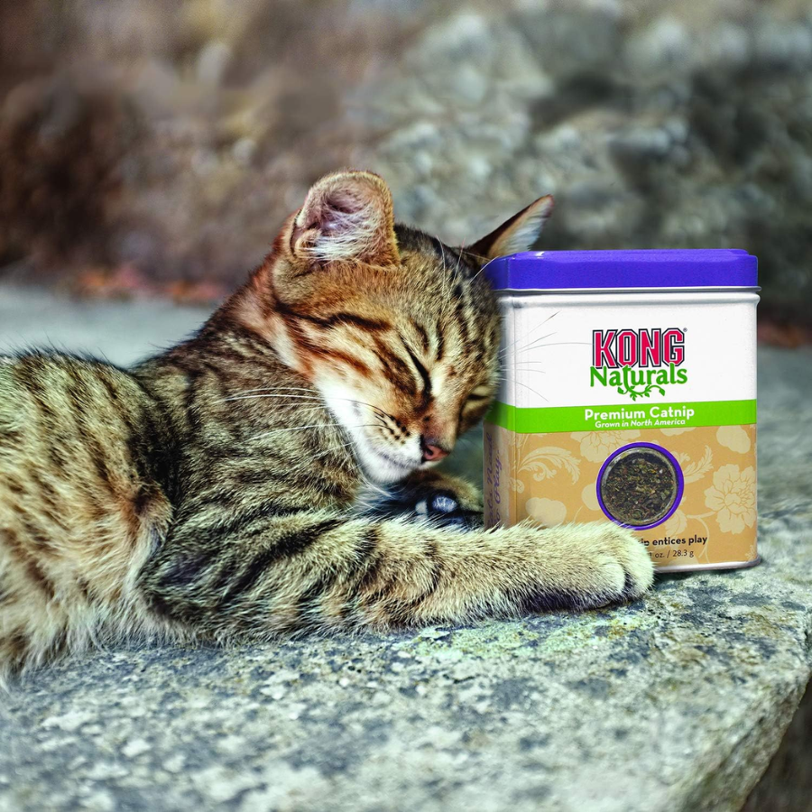 KONG Naturals Premium Catnip - 2 oz