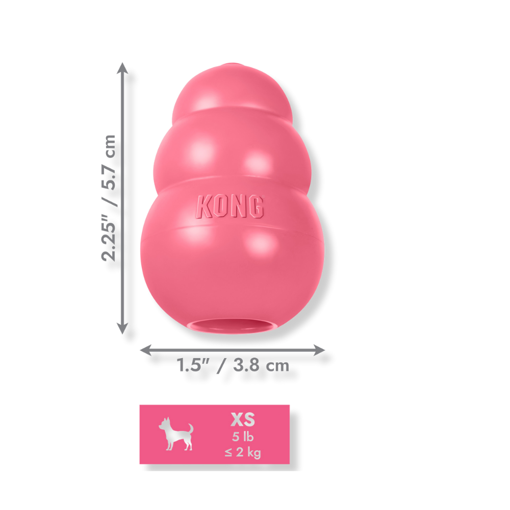 KONG Puppy