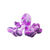 KONG SoftSeas Octopus