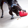KONG Wobbler Dispenser