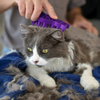 KONG Zoom Cat Brush